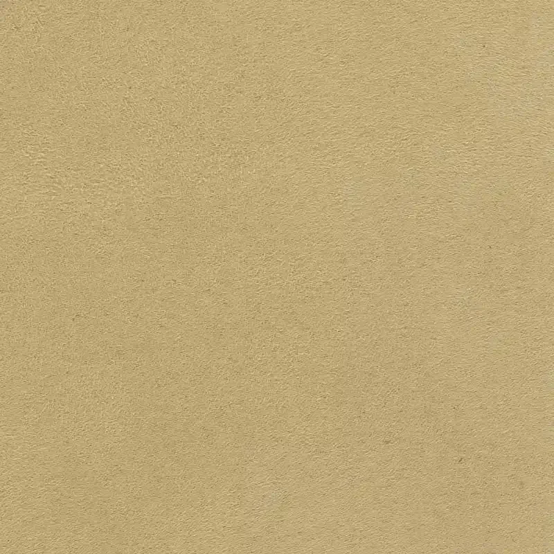 520005
