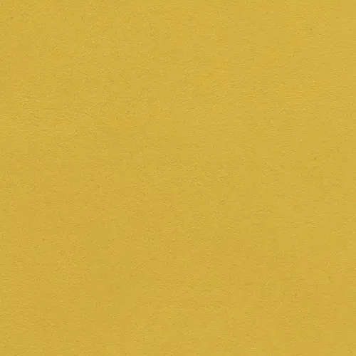 520013