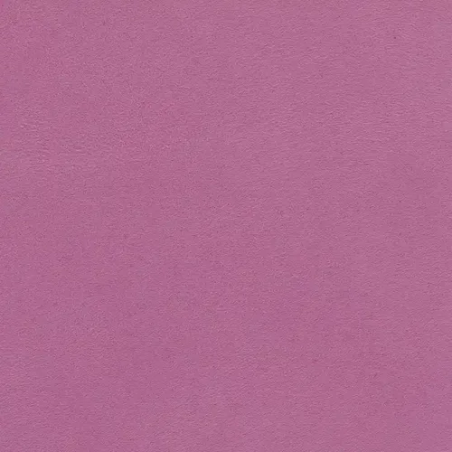 520024