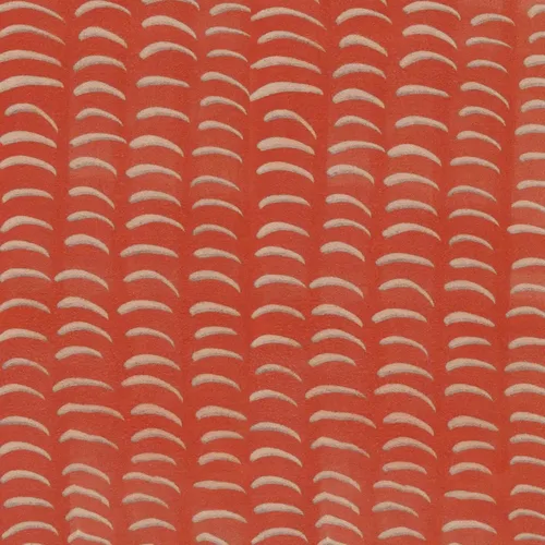 520041